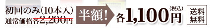 初回のみ半額の各1100円 送料無料