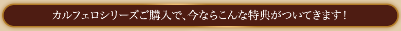 ����ե������꡼���������ǡ����ʤ餳�����ŵ���Ĥ��Ƥ��ޤ���